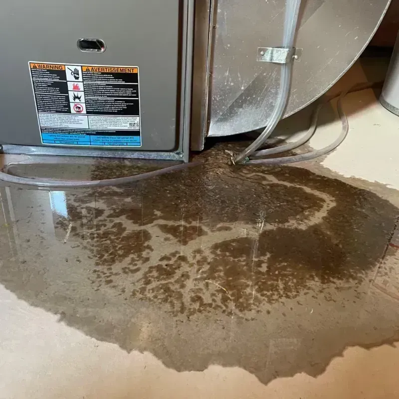 Appliance Leak Cleanup in Grundy County, IL